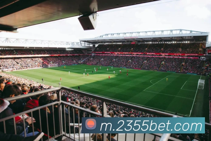 bet365comAPP 封面图